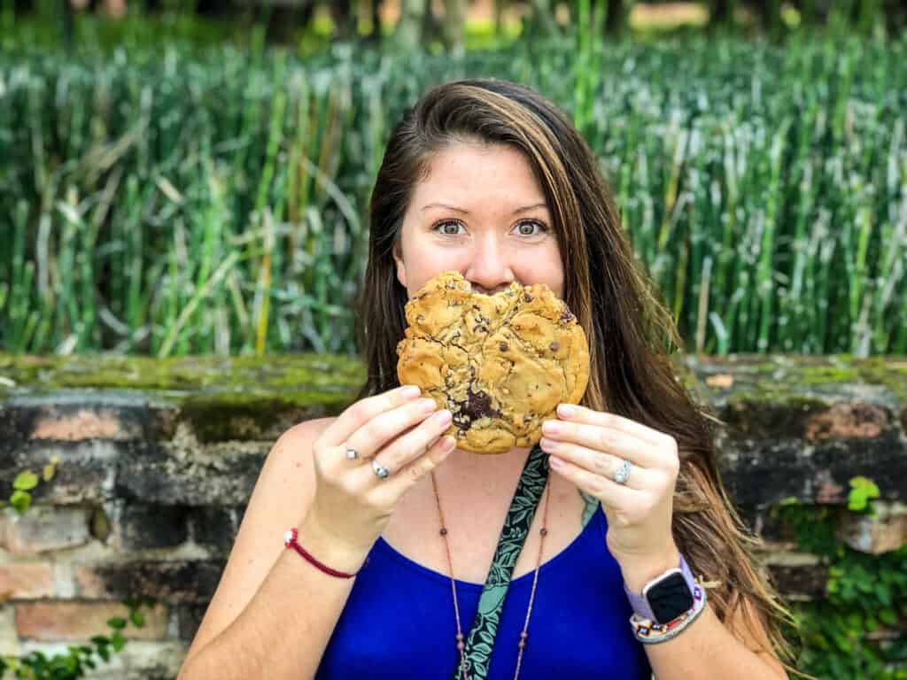 Chiang Mai Thailand cookie