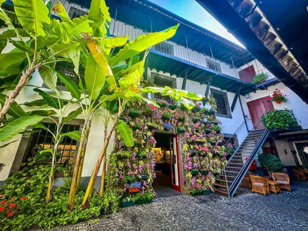 Blandy's Wine Lodge in Madeira, Portugal