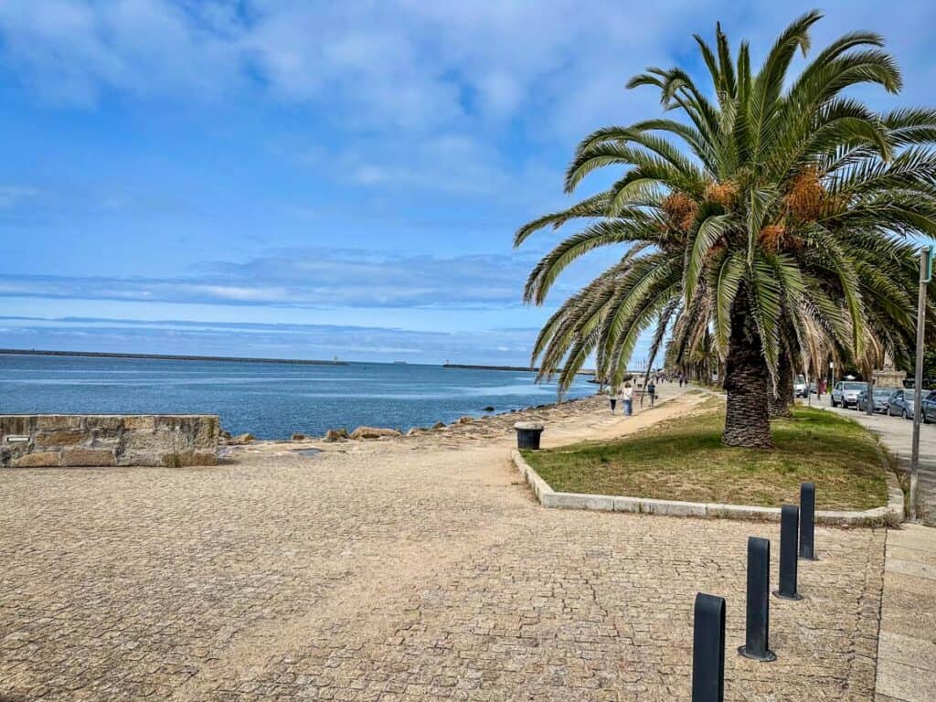 Foz Portugal