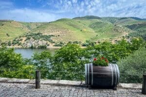 Quinta do Tedo winery Douro Valley view Portugal