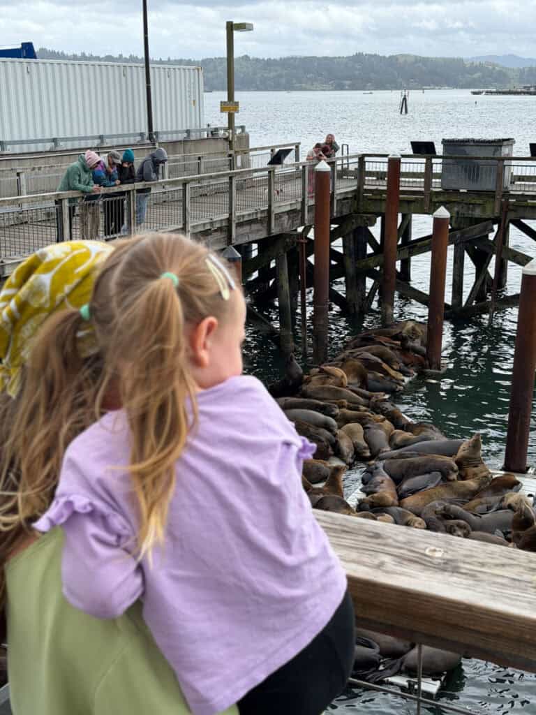 Newport Seals Oregon Coast-2