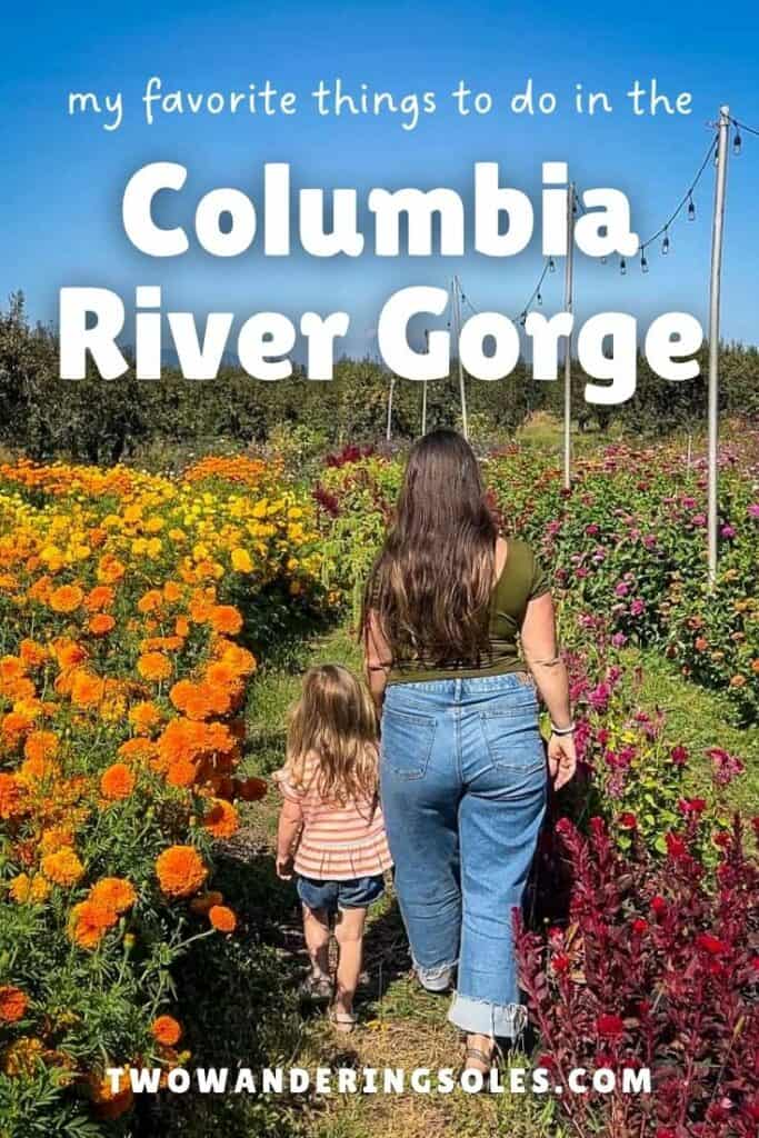 Columbia River Gorge (Pin B)
