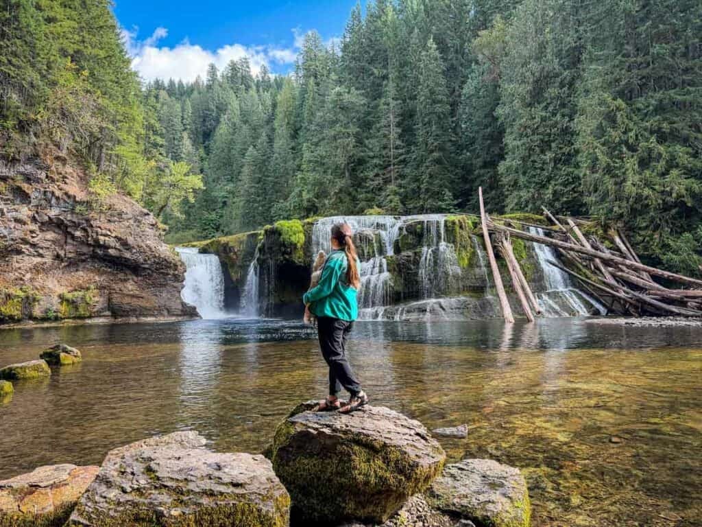 Lower Lewis River Falls Washington