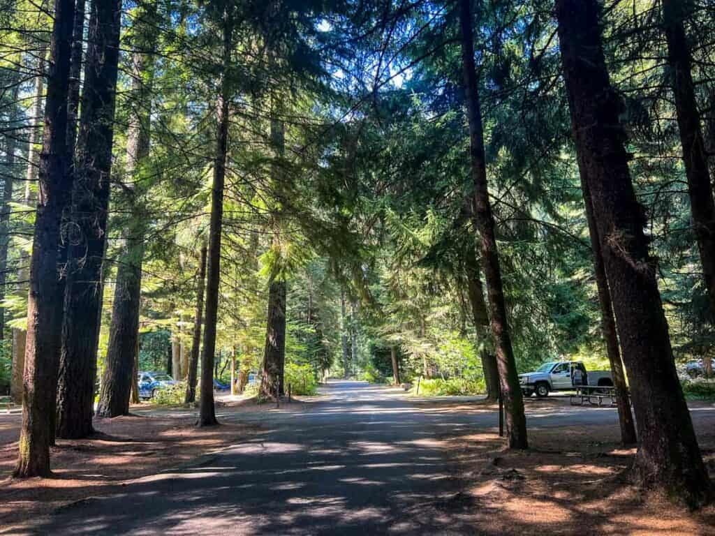 Camping at Silver Falls State Park Oregon