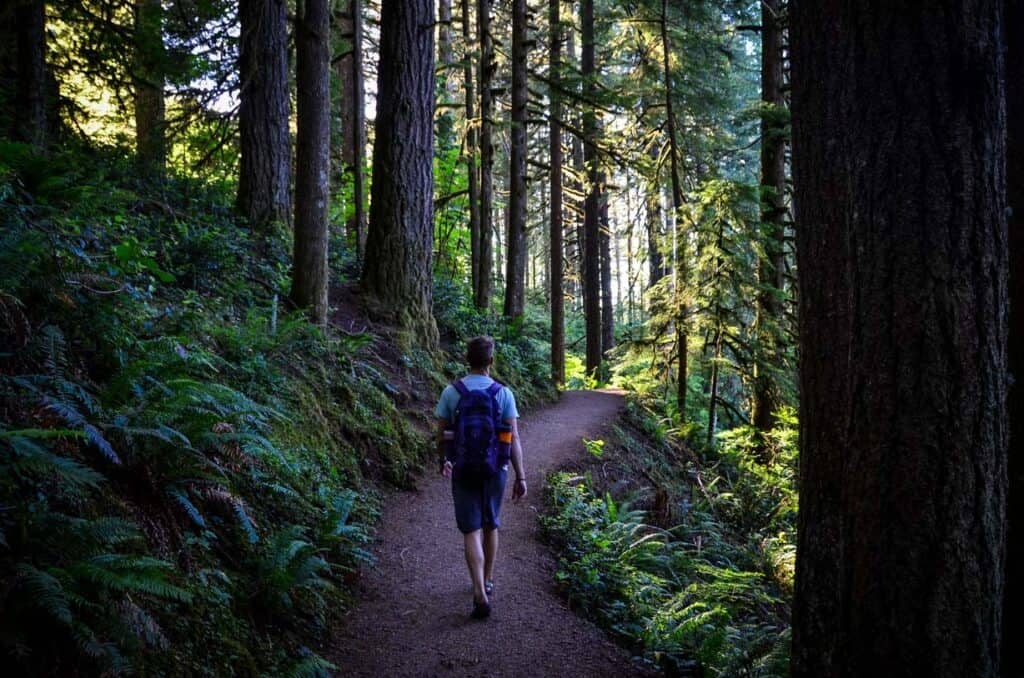 Hiking the Trail of Ten Falls in Silver Falls State Park Oregon