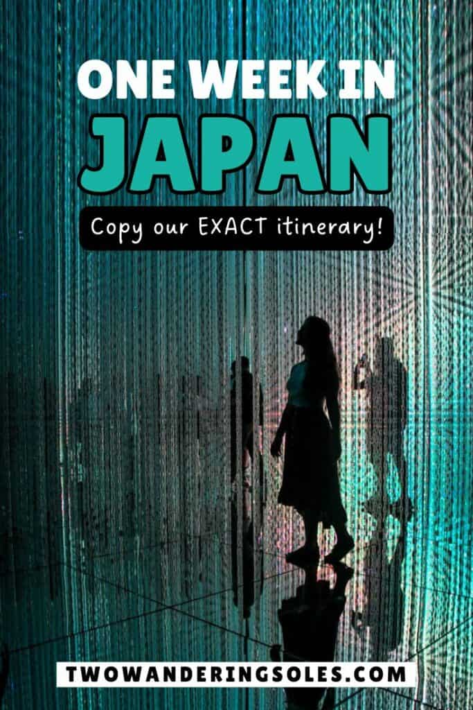 One Week in Japan | Two wandering Soles