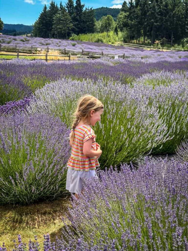 Hood River Lavender Farm