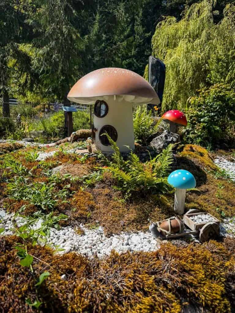 San Juan Islands WA Sculpture Park & Nature Reserve Mushrooms